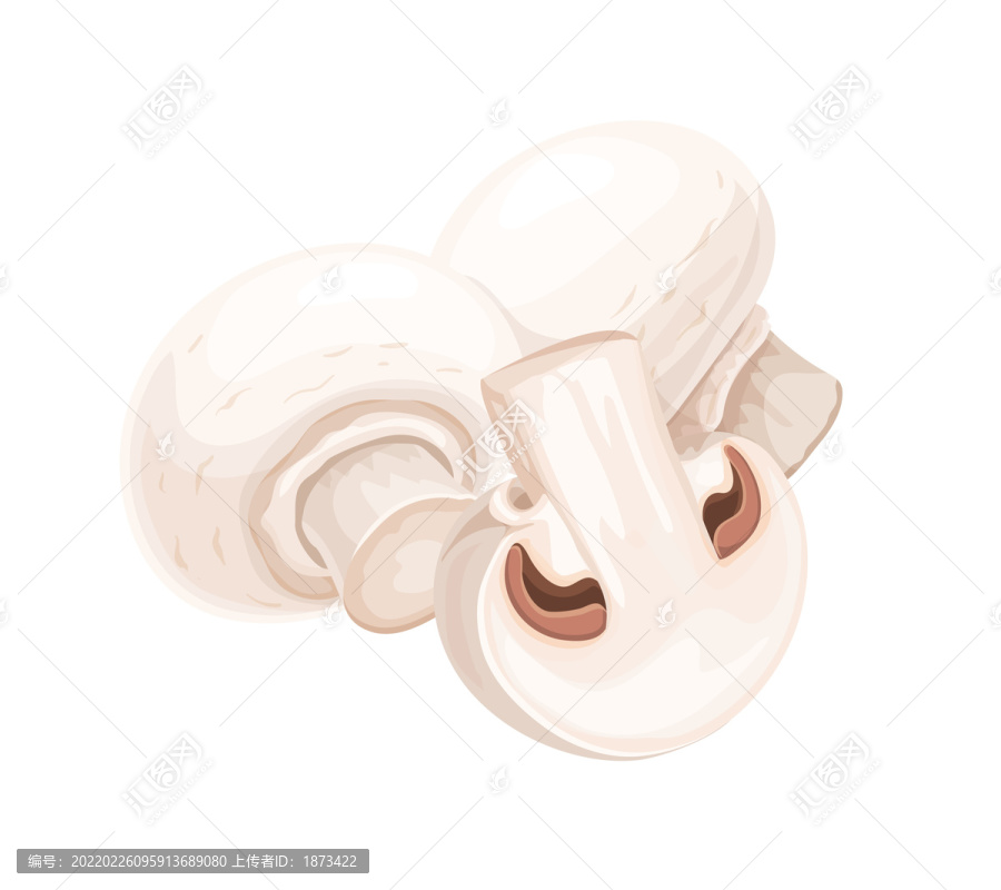 新鮮蘑菇插圖