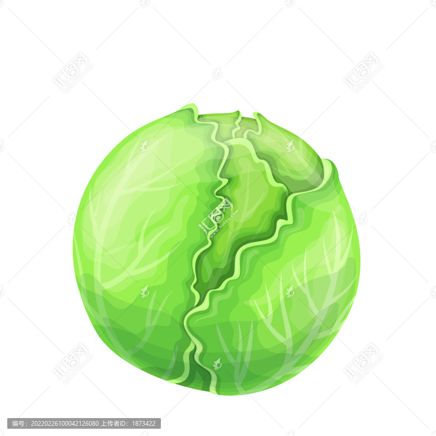 綠色包菜插圖