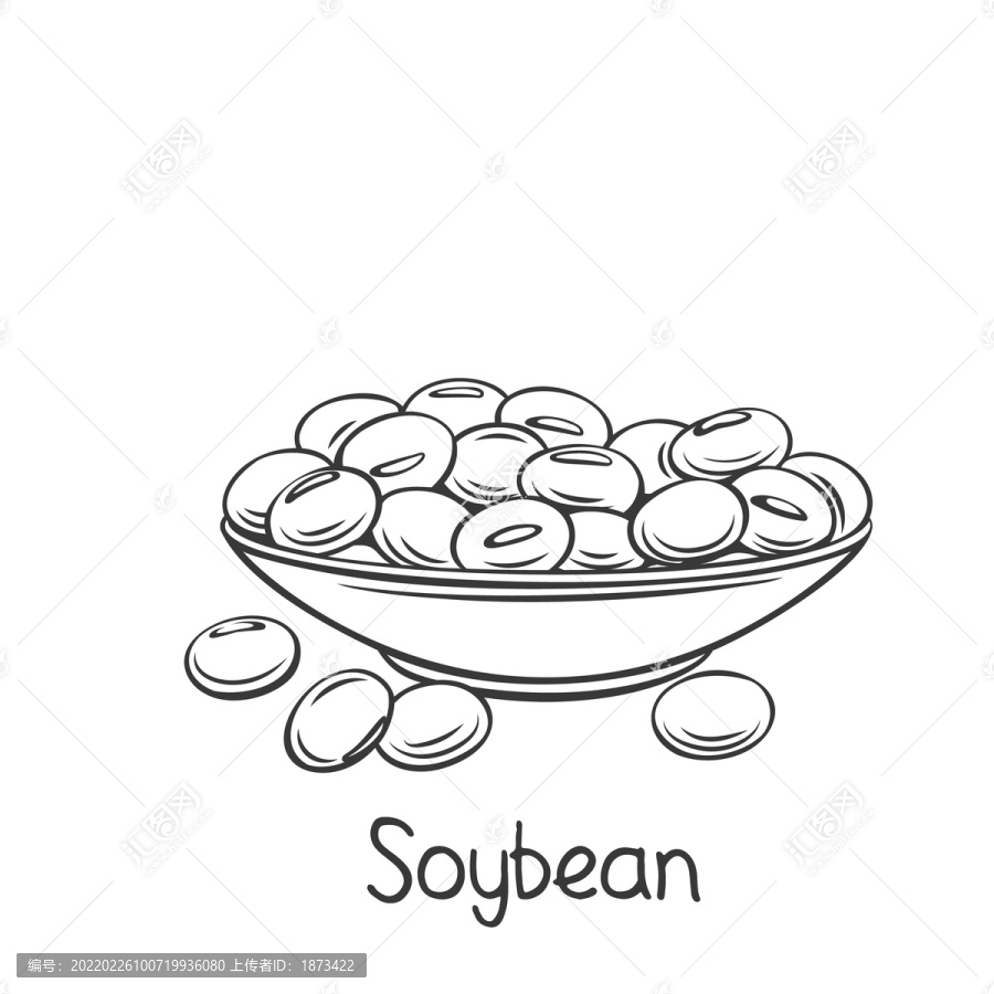 手繪黃豆插圖