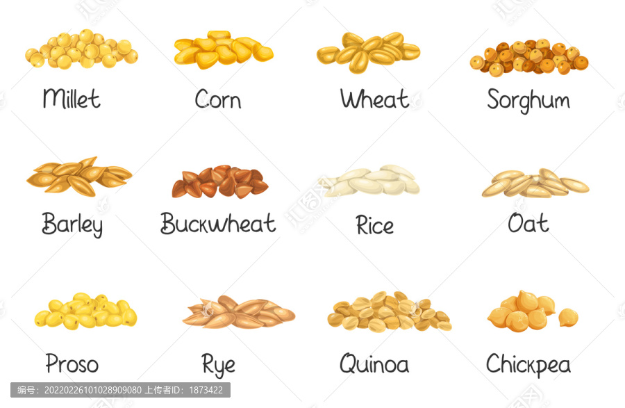 多款谷物糧食介紹插圖