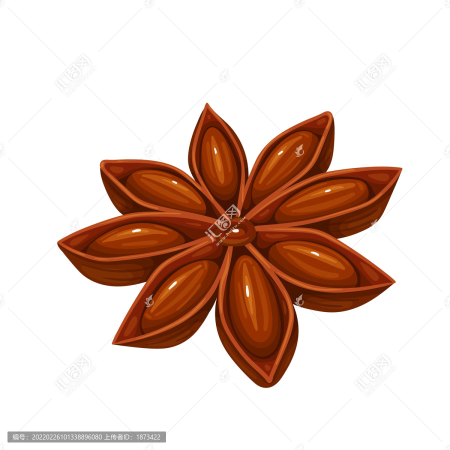 八角茴香插圖