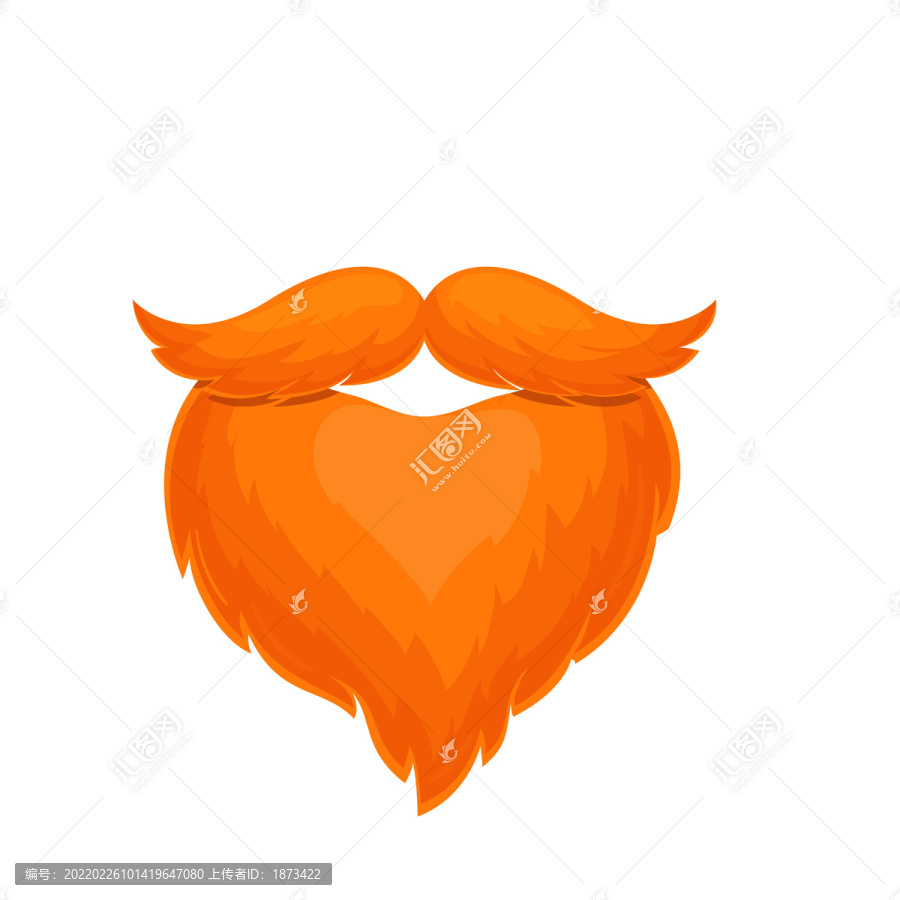 橘色胡须插图