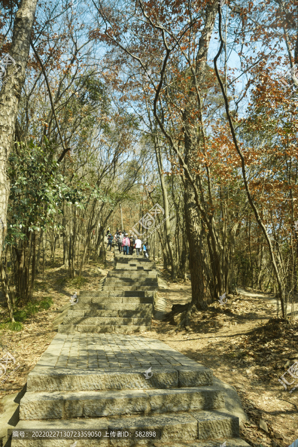 登山道