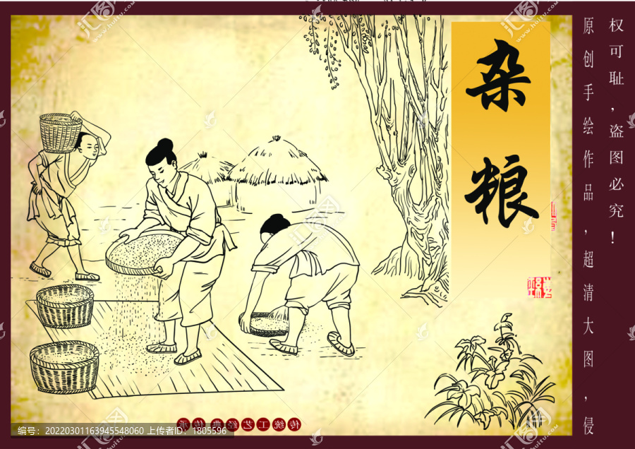 雜糧插畫線稿