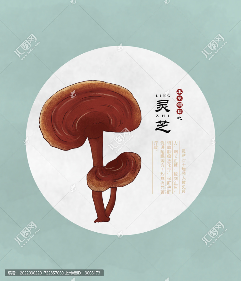 靈芝插畫