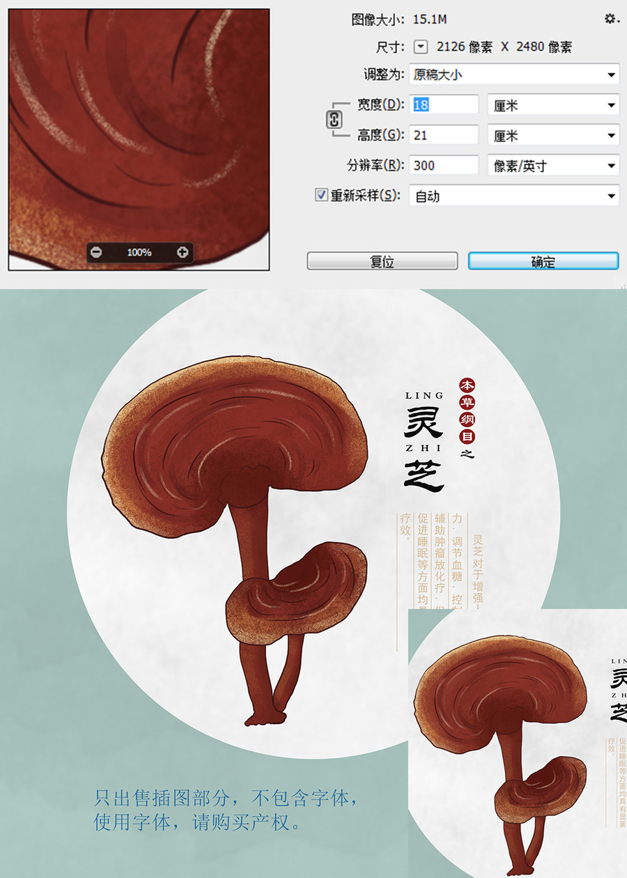 靈芝插畫
