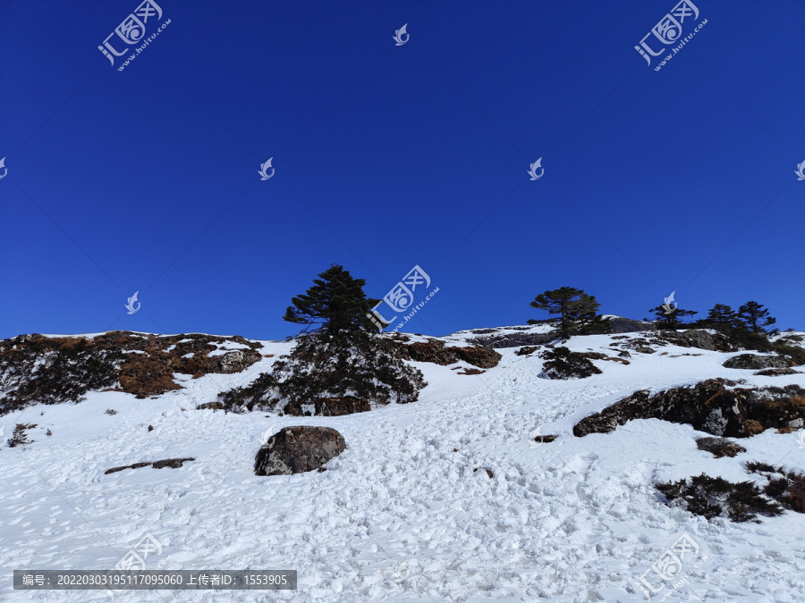 轿子雪山