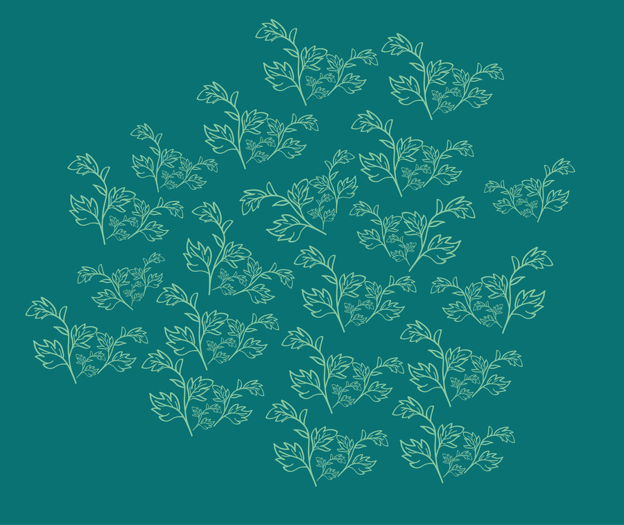 艾草矢量圖