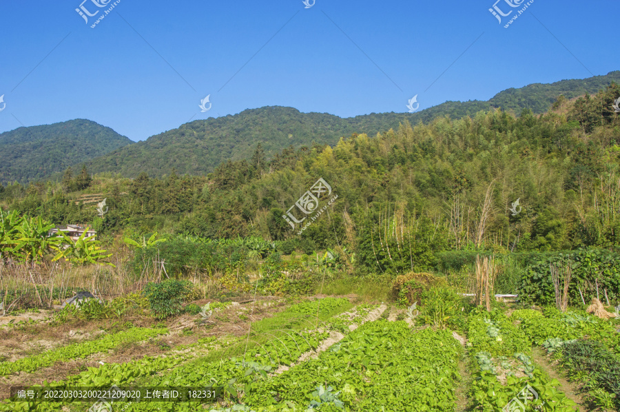 丘陵农田风光