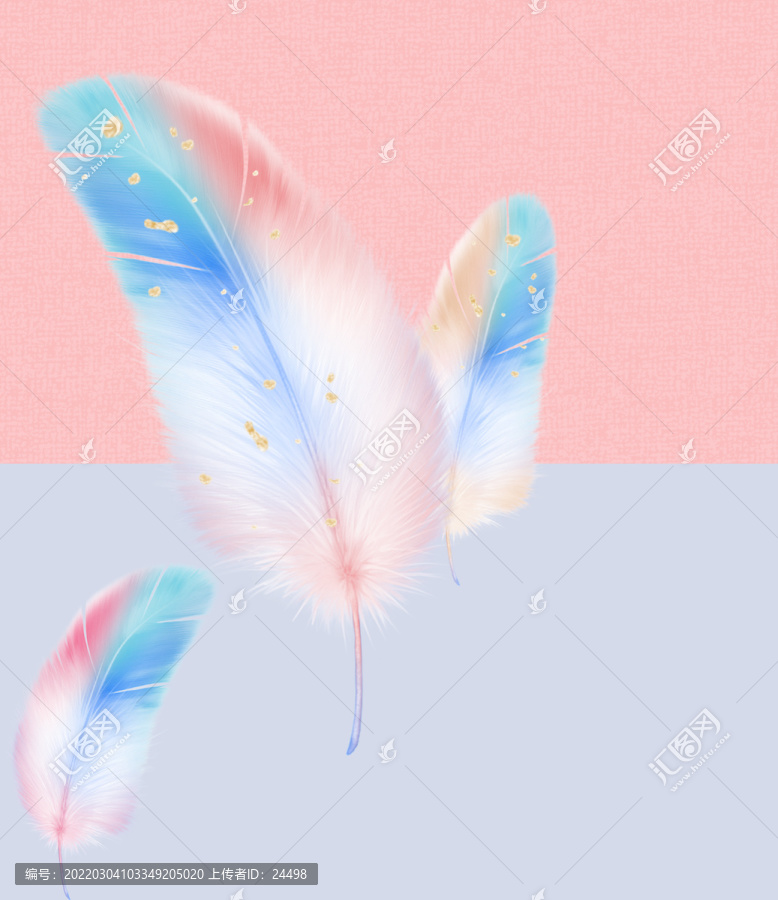 羽毛