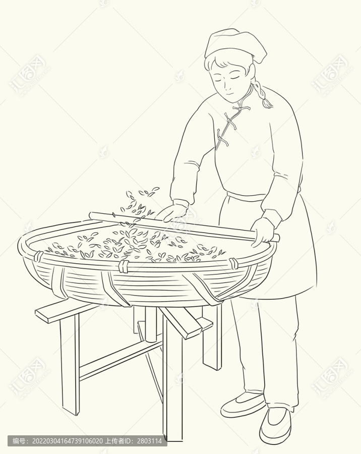 茶葉挑選制作簡(jiǎn)筆畫(huà)