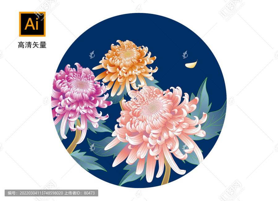 矢量菊花插畫