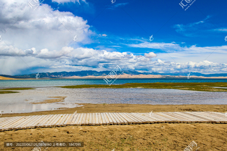 青海湖沙岛