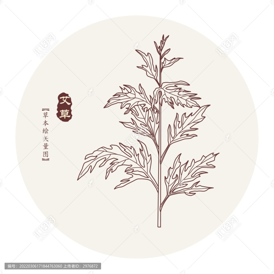 艾草矢量插畫