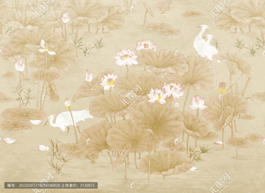 初發(fā)芙蓉