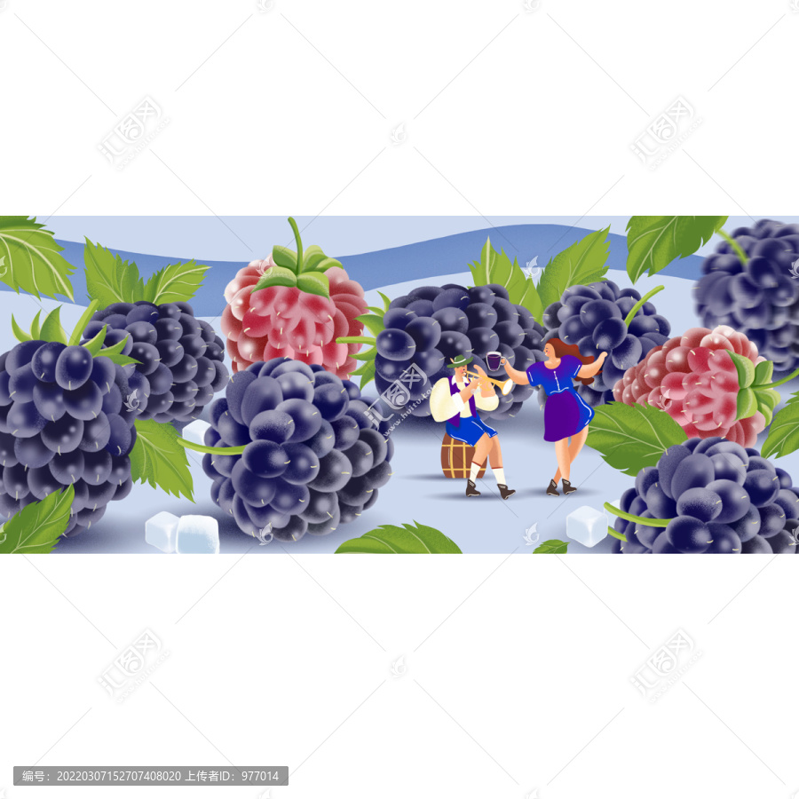 桑葚包裝插畫