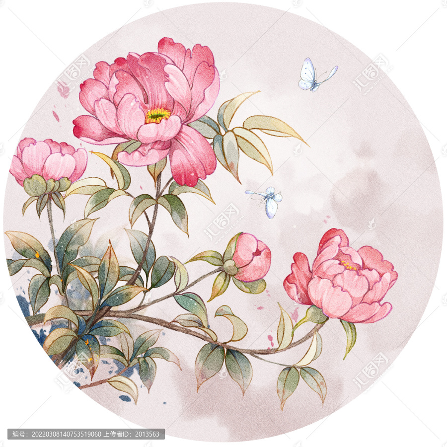 粉紅色芍藥