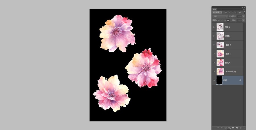 手繪牡丹花單花頭