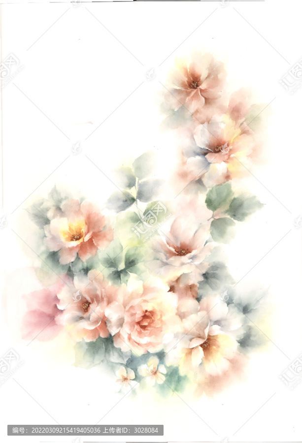 手繪牡丹花