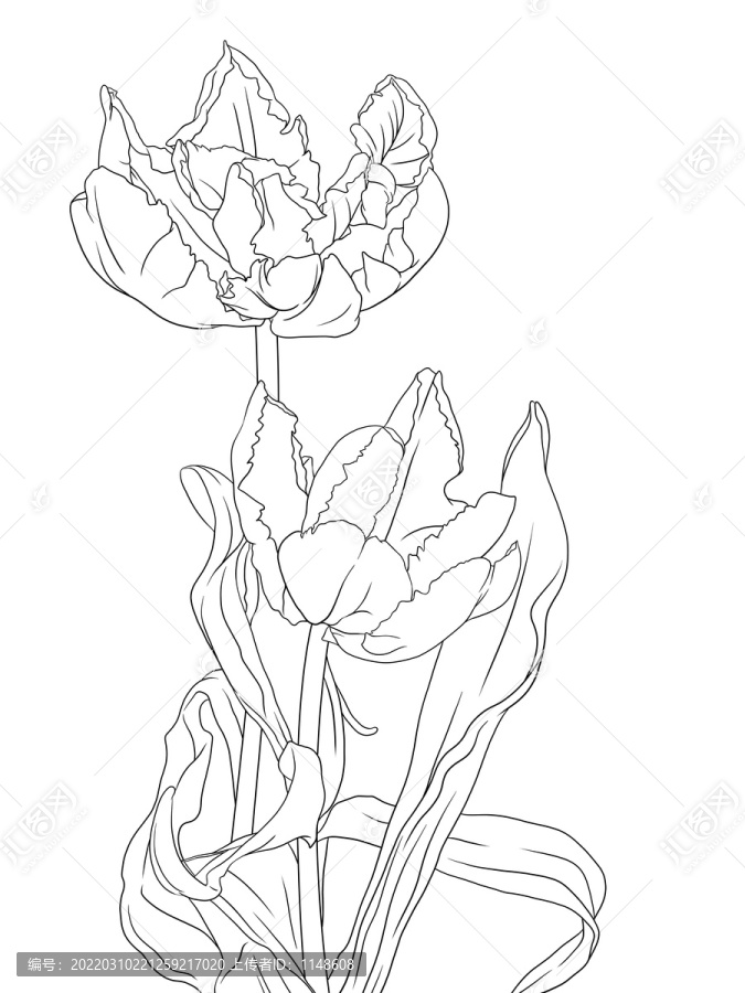 手繪花卉