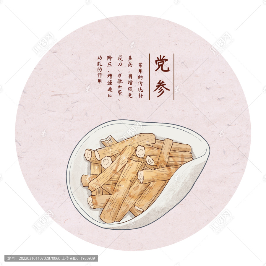 手繪黨參