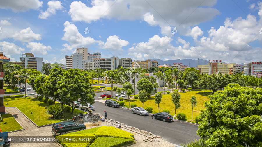城市綠化