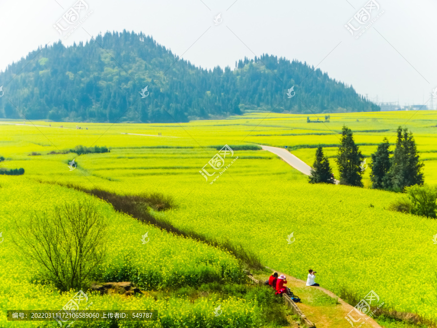 春季田园