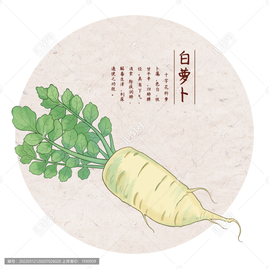 白蘿卜