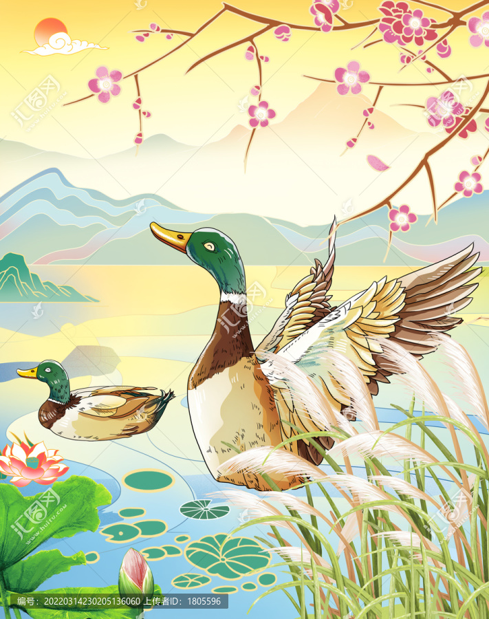 鴨子青頭鴨農(nóng)家鴨鴨蛋
