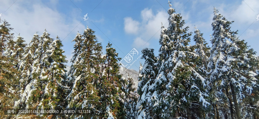 皖南雪山