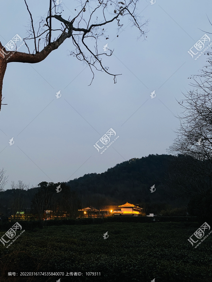 龙井绿茶餐厅