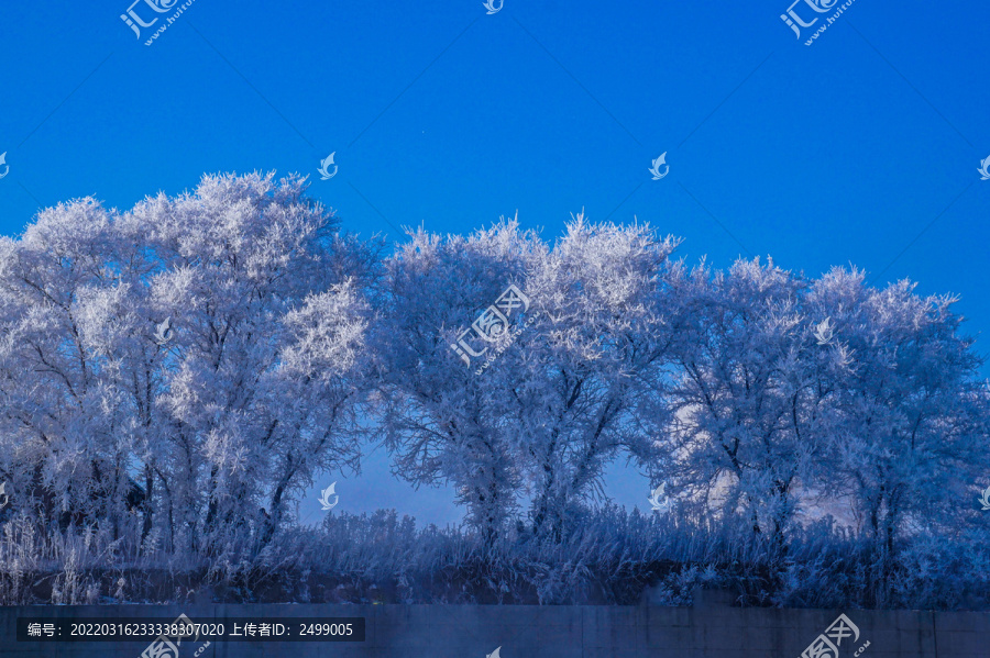 雾凇雪景