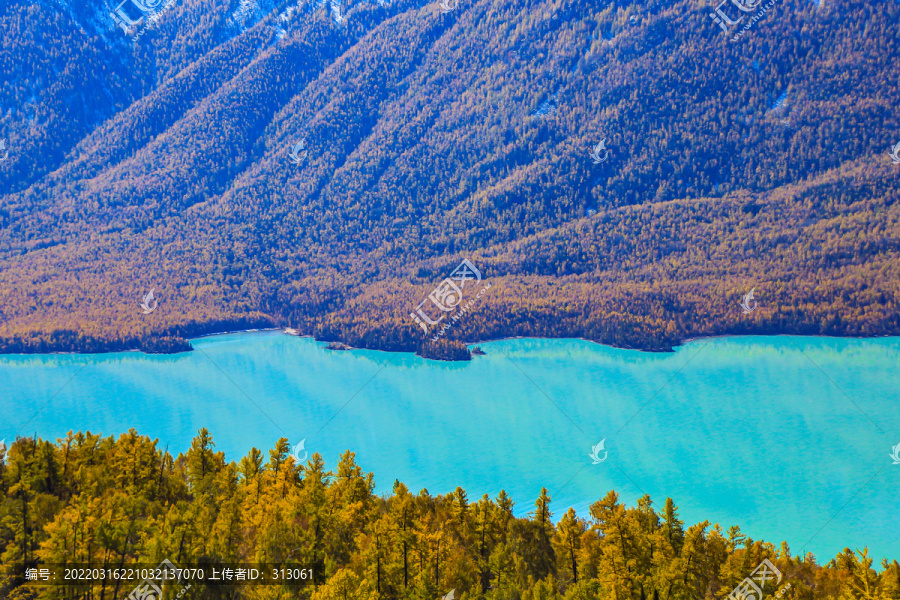 喀纳斯风景区