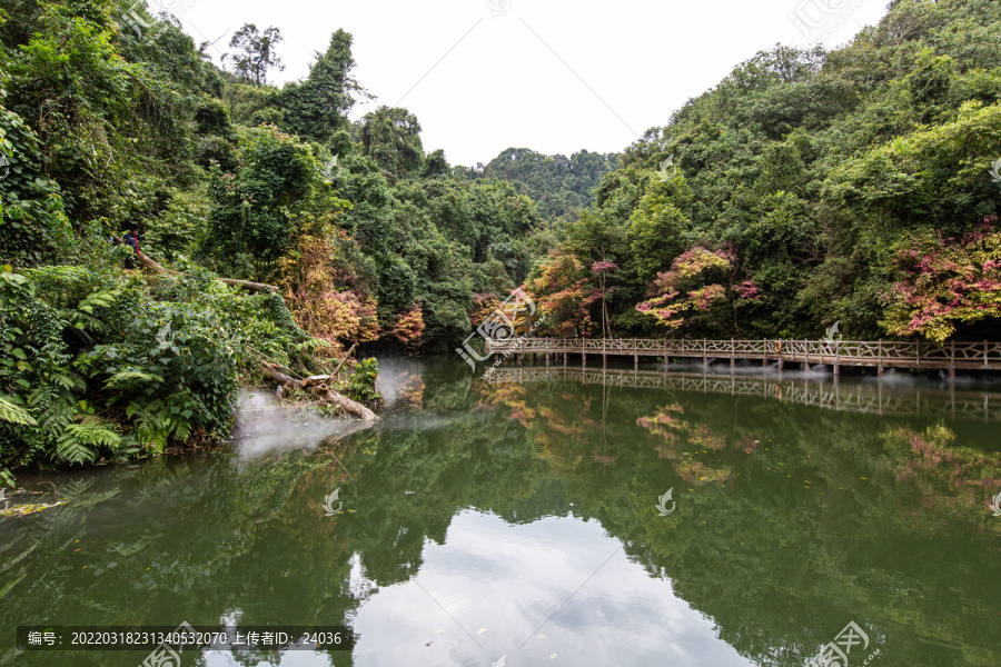 双龙沟原始森林景区水边栈道