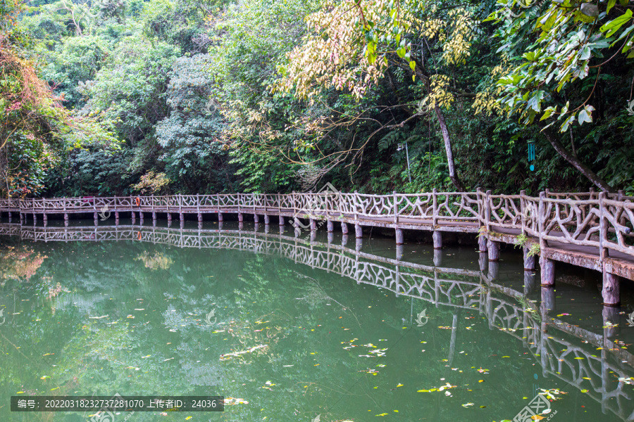 双龙沟原始森林景区水边栈道