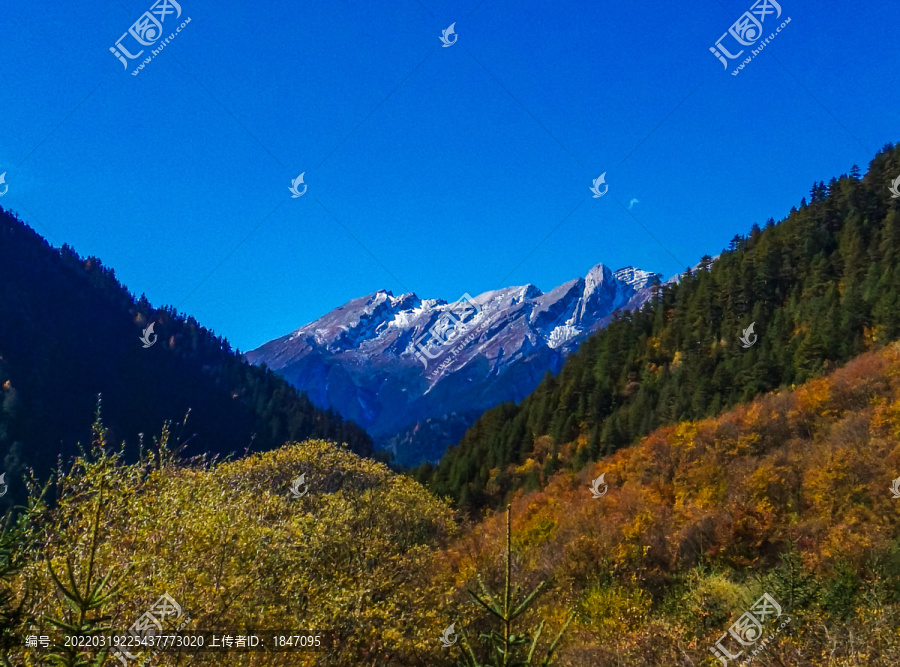 九寨沟原始森林雪山