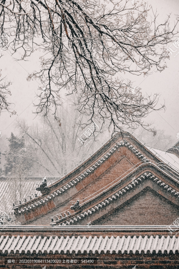 北京雪景