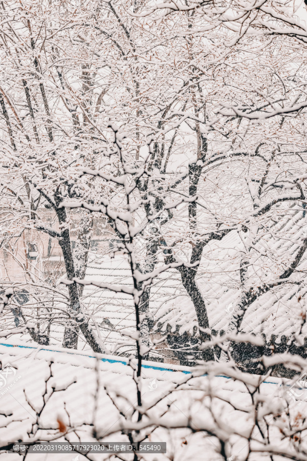 北京雪景