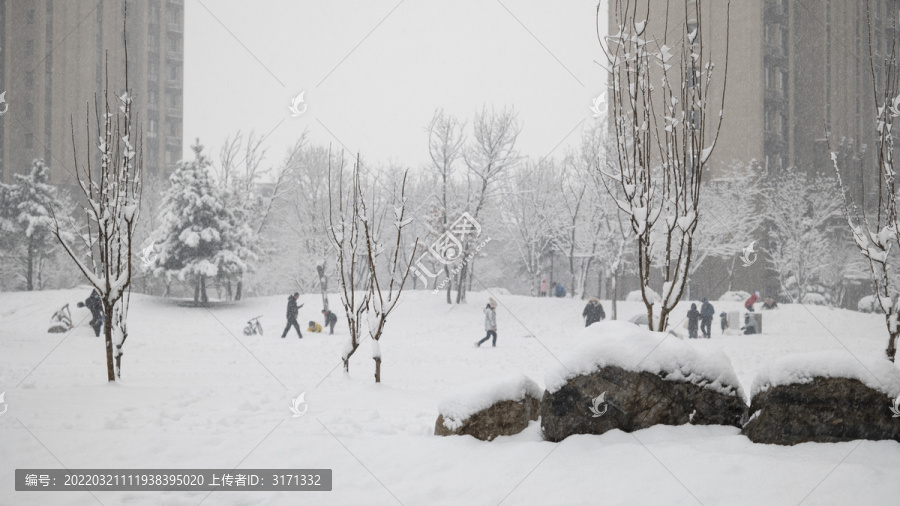 一群人在社区中玩雪