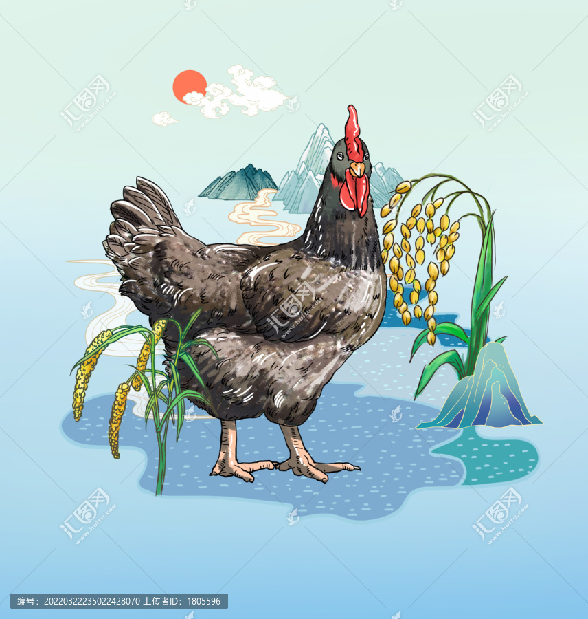 蘆花雞插畫
