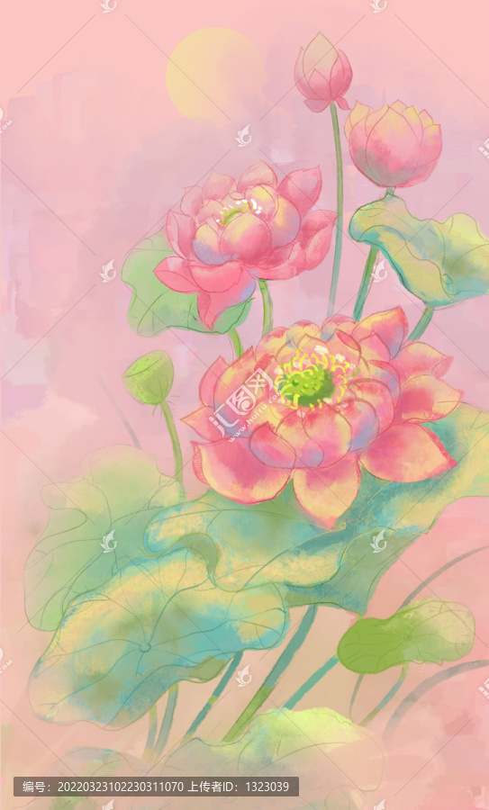 荷花
