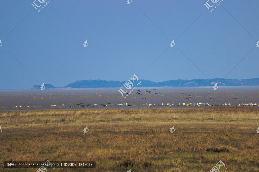 鄱阳湖