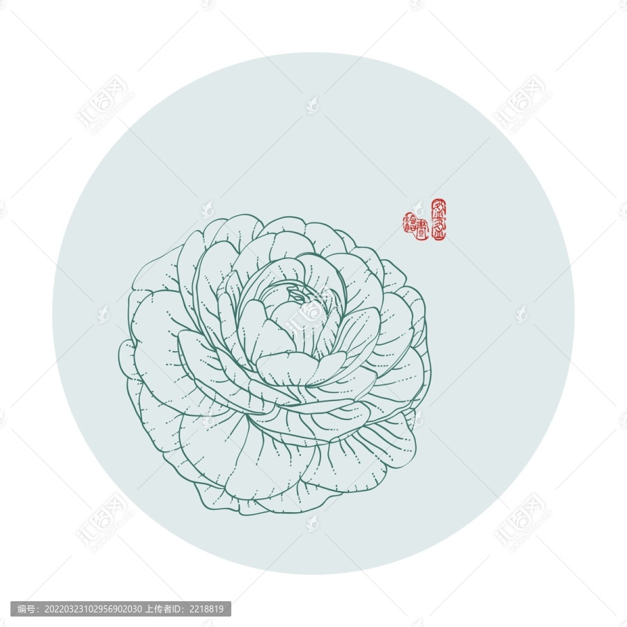 山茶花線描