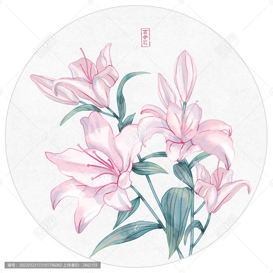 手繪百合花