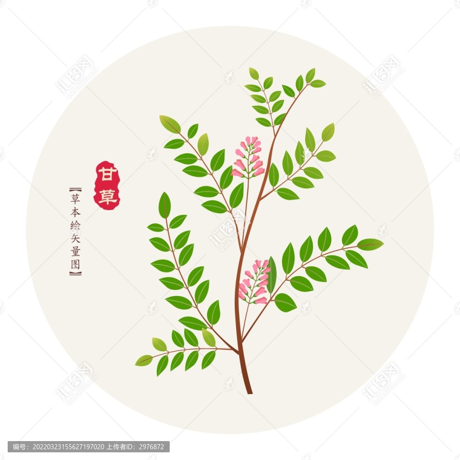 甘草