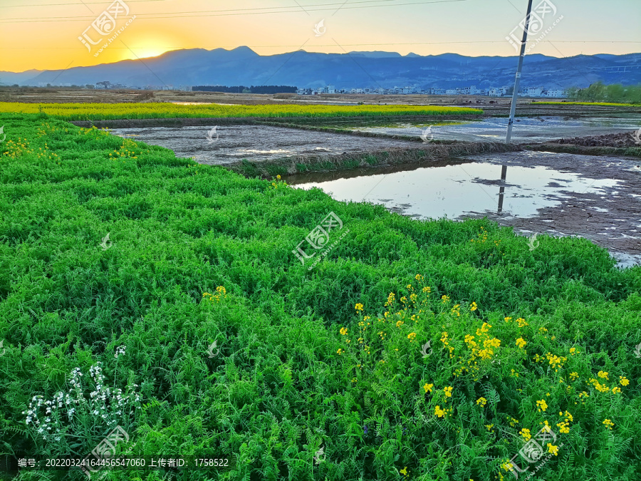 傍晚乡村田野