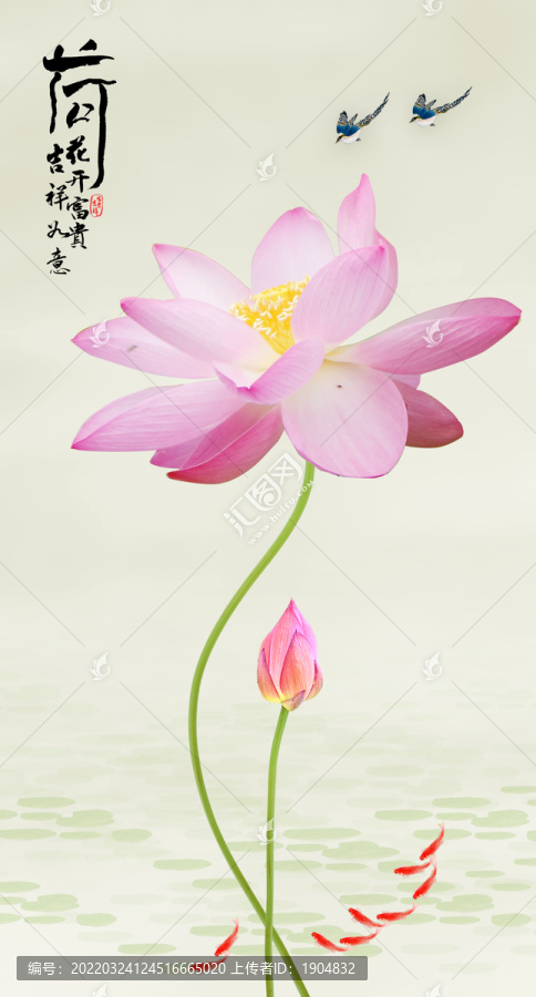 荷花九魚圖