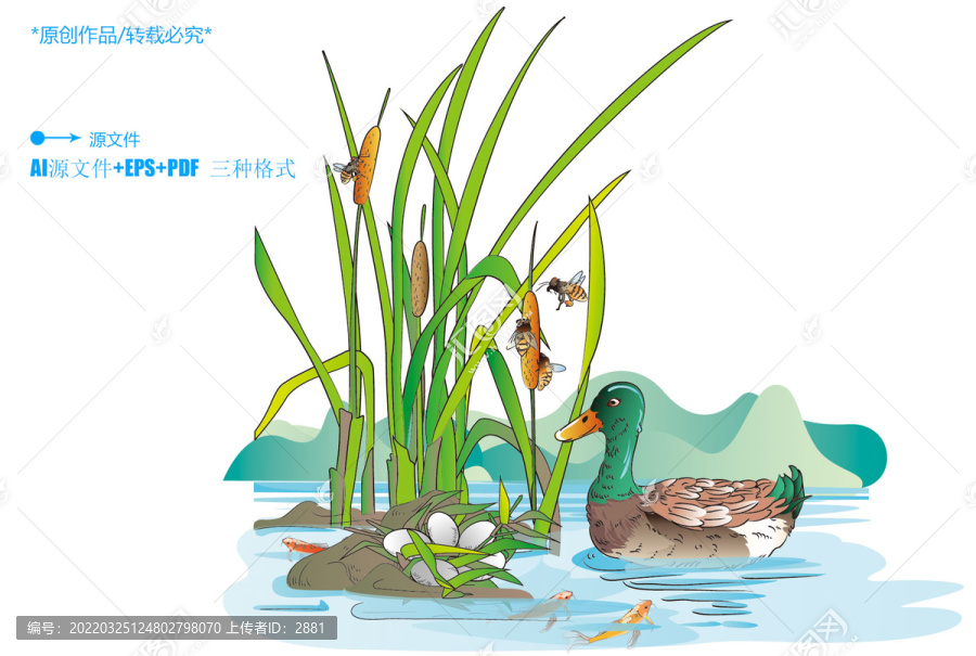 鴨子鴨蛋插圖