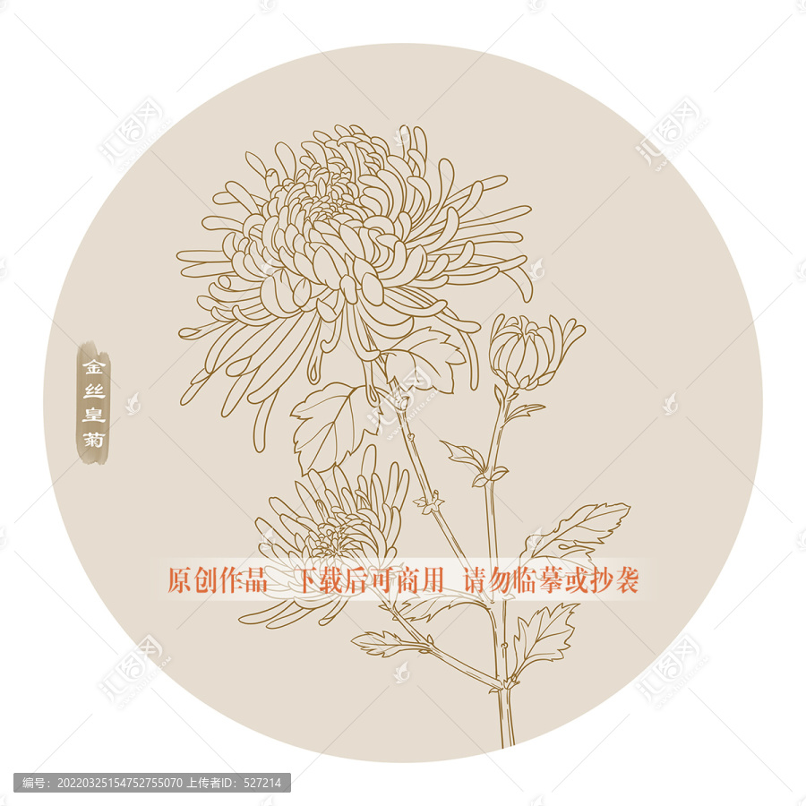 線描金絲皇菊