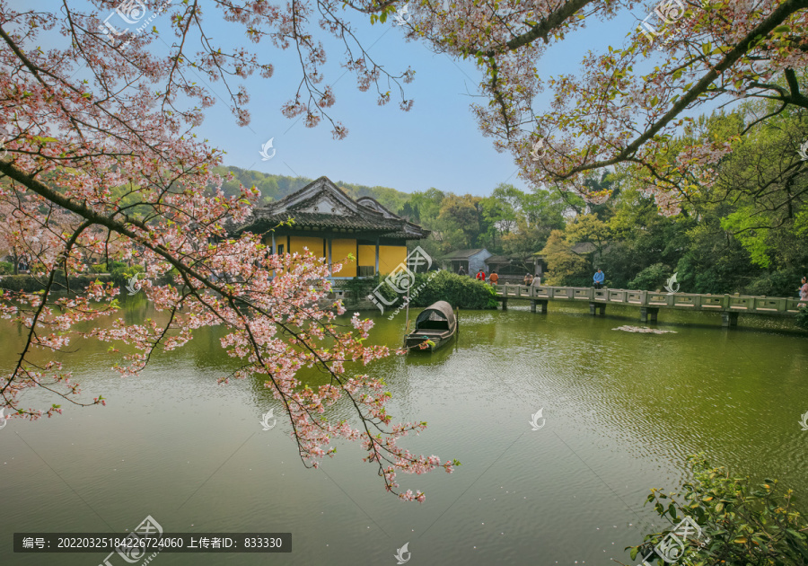 鼋头渚樱花园